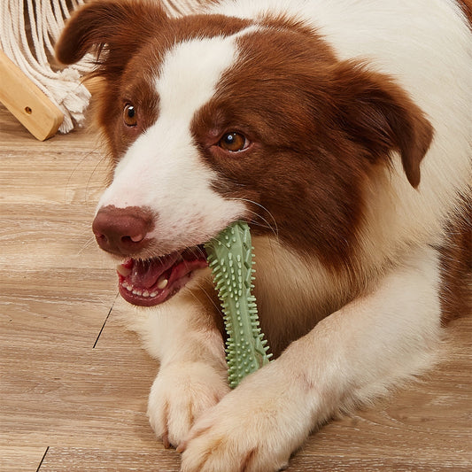 Heaven For Pets Chew Toys For Cleaner Pet Teeth